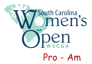 Open_Pro_AM_Logo_copy__1_-removebg-preview