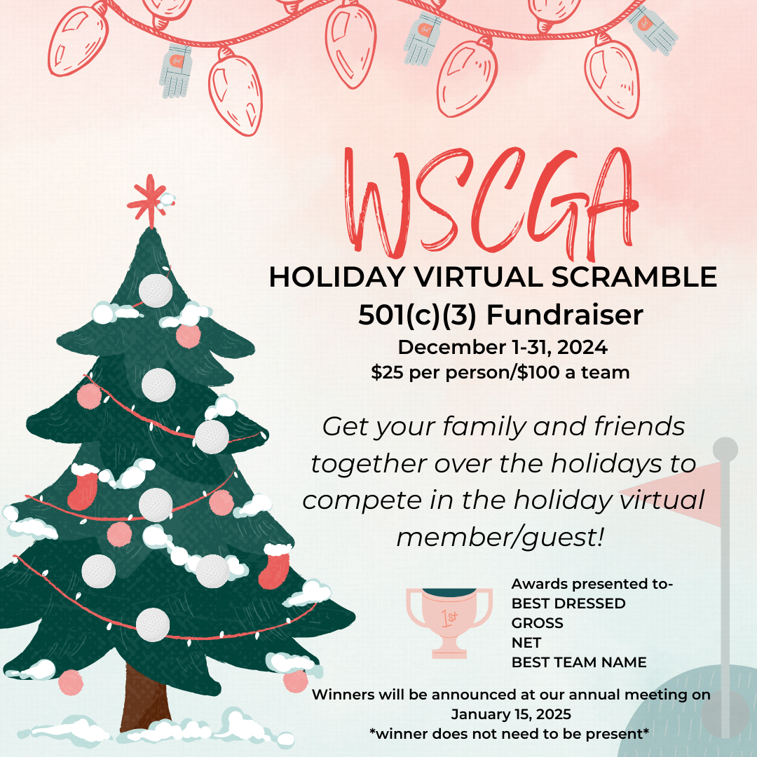 WSCGA-virtual scramble